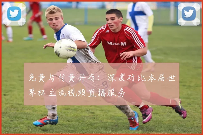 免费与付费并存：深度对比本届世界杯主流视频直播服务