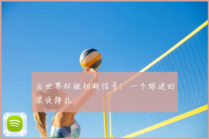 当世界杯被切断信号:一个球迷的深夜挣扎