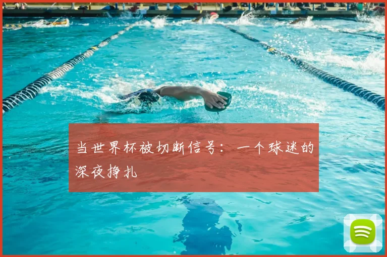 当世界杯被切断信号:一个球迷的深夜挣扎