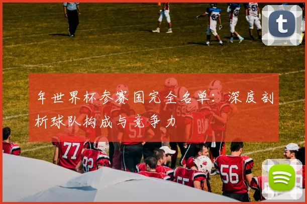年世界杯参赛国完全名单：深度剖析球队构成与竞争力