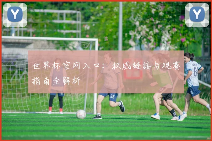 世界杯官网入口：权威链接与观赛指南全解析
