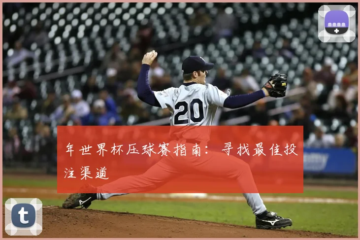 年世界杯压球赛指南：寻找最佳投注渠道