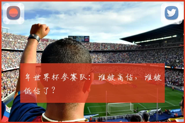 年世界杯参赛队：谁被高估，谁被低估了？